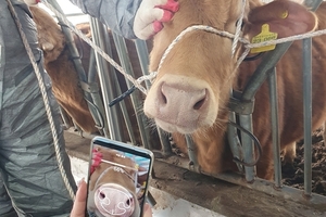 한우 코주름으로 개체 인증…AI 생체인식 기술 개발