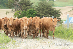 “8만 한우농가 염원 ‘한우법’ 통과 환영한다”