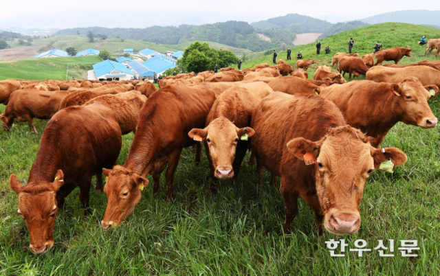 30년간 축산과학 기술로 ‘한우 품질’ 혁신