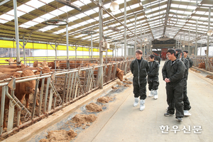 자가 TMR로 사료비 두당 28 ↓ 최고등급 출현율 30.5p ↑