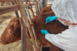 럼피스킨병 제2종 하향·‘가축폐기물처리업’ 신설