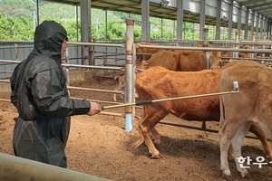 가축전염병 동시 발생, 축산물 수급 관리 비상