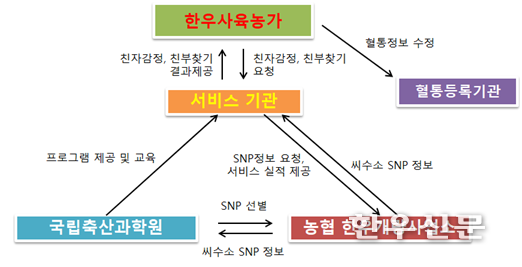 서비스 제공 체계도(안)