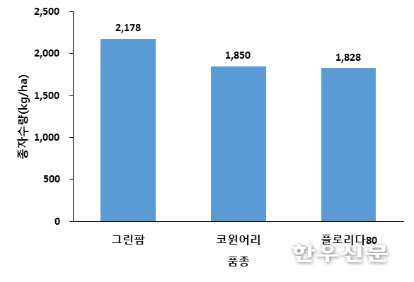 품종별 IRG 종자 수량(새만금간척지, 2019/2020)