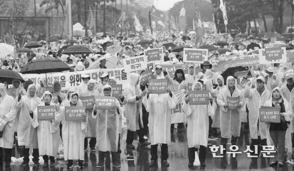 농민단체가 미래 세계무역기구(WTO) 농업 협상에서 개도국 특혜를 주장하지 않기로 한 정부 결정에 반발하며 대규모 집회를 열었다.