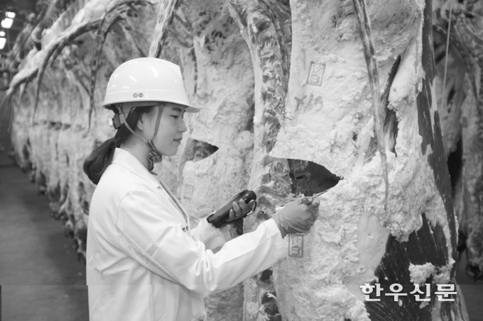 9월 한우 1등급 도매가격은 지육 kg당 1만7400~1만8400원으로 전망되며, 10~11월 도매가격은 1만6900~1만7900원으로 예상된다.