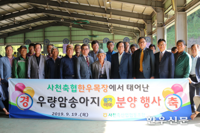 사천축협이 우량 암송아지 15두를 농가에 원가이하로 분양했다.