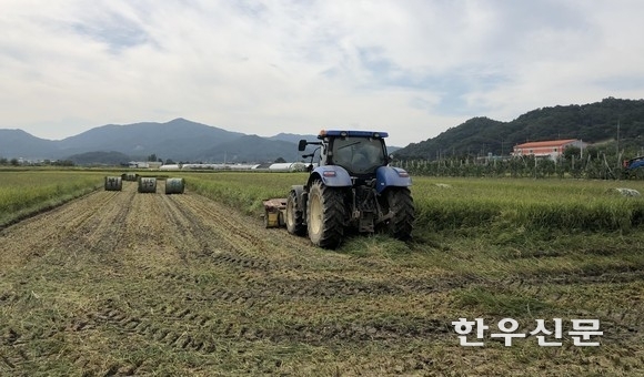 충남 천안시농업기술센터가 논을 활용한 사료용 벼 동계사료작물 최적 작부체계를 개발했다.