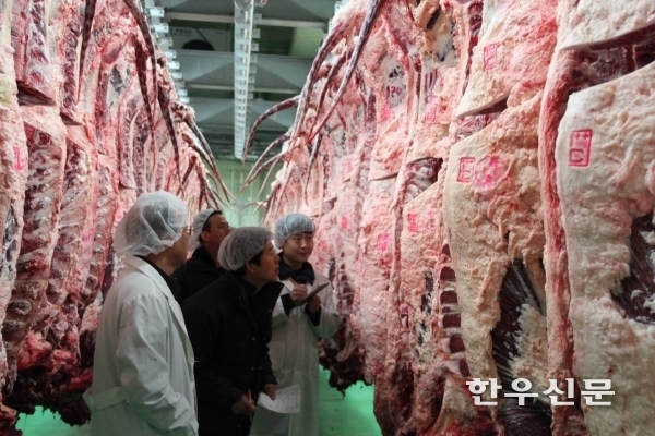 새롭게 설정된 한우 도체수율 기준에 따르면 평균 출하체중 696kg인 소에서 살코기량은 평균 273.4kg이었다.