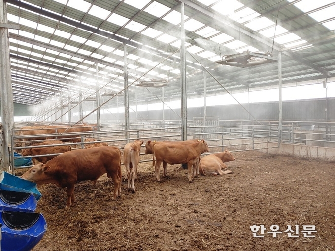 우사 내부에 설치된 안개분무 시설