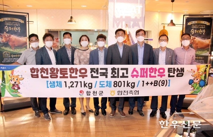 합천축협 혈통보존사업장에서 사육한 38개월령 거세우가 롯데백화점 청량리점에서 판매를 시작했다.
