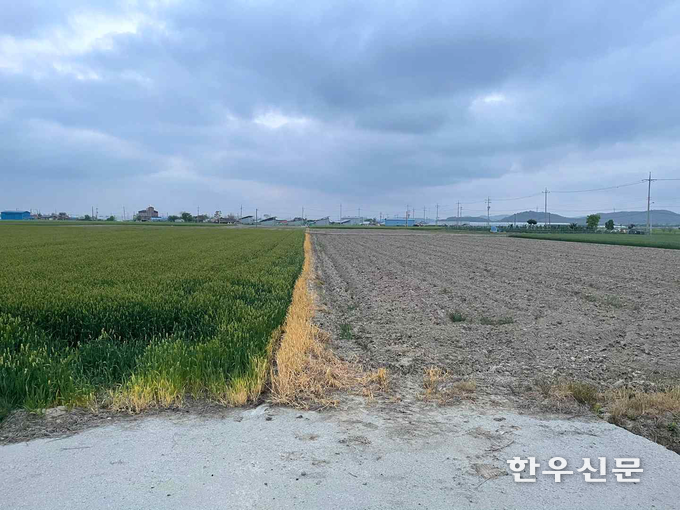 한우자조금관리위원회가 발주하고 순천대학교에서 연구한 ‘조사료 생산이 동계 환경에 미치는 영향 연구’ 결과 겨울철 조사료 재배가 미세먼지를 감소시키는 효과가 있는 것으로 나타났다. 
