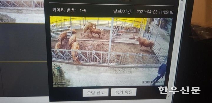 천안시농업기술센터는 ‘한우 스마트팜을 위한 발정탐지시스템 기술보급 시범사업’을 추진하고 있다.