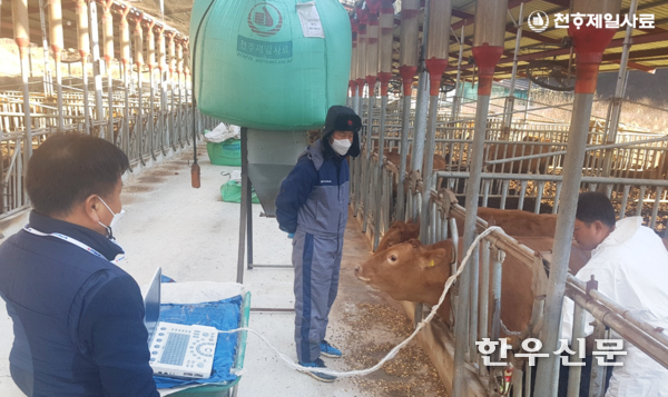 손덕주 사장(가운데)이 한우를 바라보고 있다.