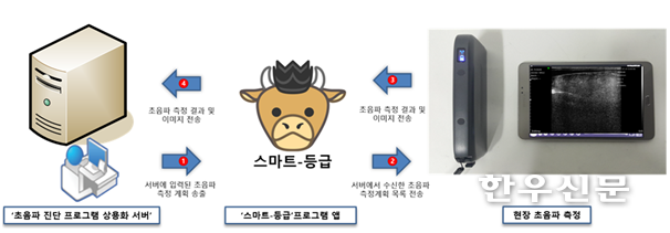 거세한우 출하적기 초음파진단시스템