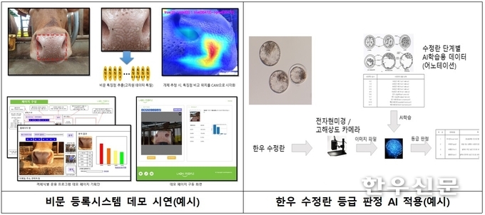 한우 인공지능 모델 개발 구상도(경북도 제공)