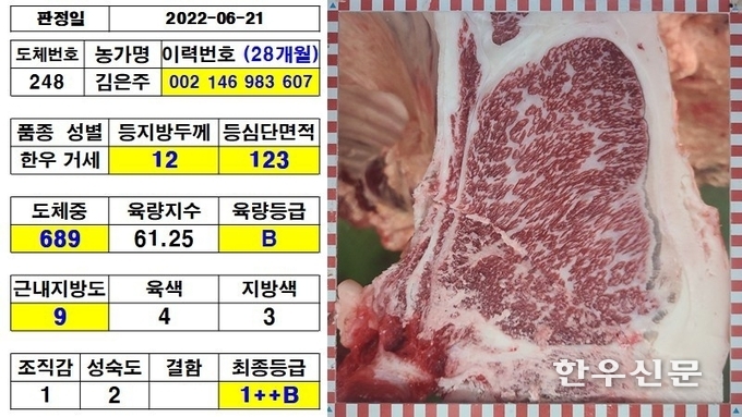 슈퍼한우 성적