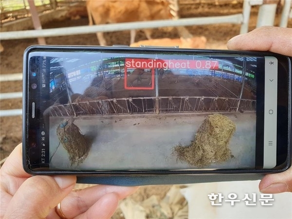 충남 예산군농업기술센터는 축산신기술 보급사업인 ‘축산 스마트팜 통합제어시스템 활용기술시범사업’을 추진, 노동력 부족을 해소하고 가축의 생산성을 향상해 축산농가의 소득 증대를 도모할 수 있게 됐다.