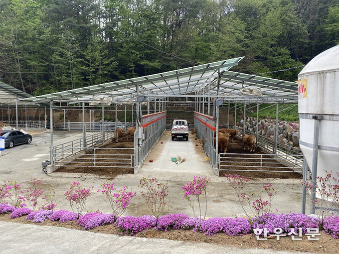 농림축산검역본부는 최근 횡성군 우천면 하궁리 소재 황고개농장을 한우 동물복지축산농장으로 인증했다.