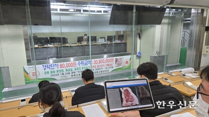 축산물품질평가원 국내 최초로 개체 도축 후 축산물 이동 없이 원격 경매하는 ‘축산물 온라인 원격지 상장’을 진행했다.