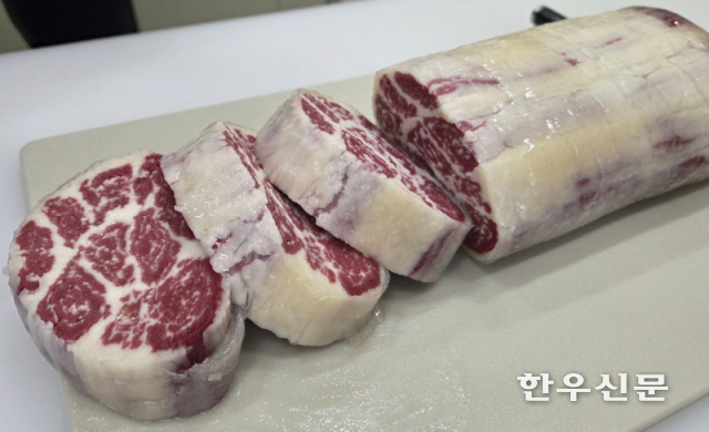 진짜 고기와 유사하고 마블링이 풍부한 덩어리고기(스테이크) 형태의 하이브리드 배양육이 개발됐다.