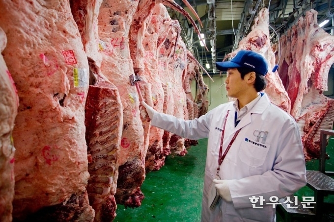 올레인산 함량이 높은 고지방 한우고기 섭취가 체지방 감소와 심혈관 건강 개선에 긍정적 효과가 있는 것으로 나타났다.