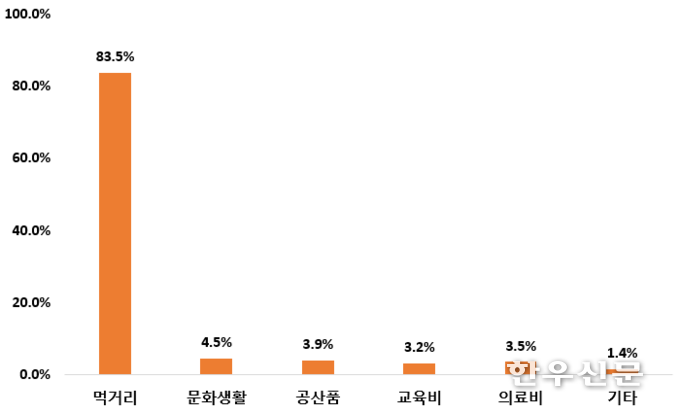 민생회복 소비쿠폰 사용용도.