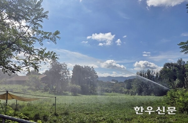 전북 정읍시농업기술센터가 기후변화로 인한 가뭄에 대비해 한우농가의 안정적인 조사료 생산을 지원하는 시범사업을 시작했다.