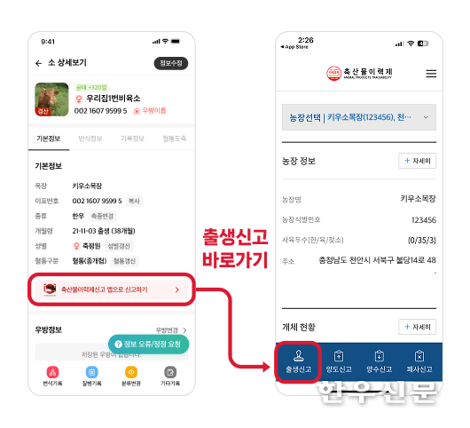 ‘키우소’ 앱에 적용된 축산물이력제 앱 바로가기 버튼으로 빠른 화면 전환이 가능해져 농가의 신고 편의성이 높아졌다.