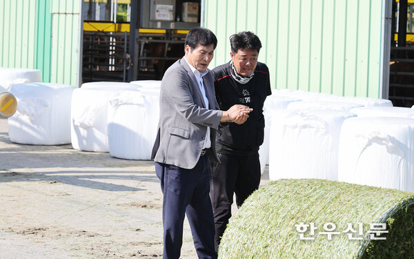 함평군은 최근 총체벼 수확 현장을 방문해 품질을 확인하고, 시범 사업의 성과를 점검하는 등 전략 작물 육성에 총력을 기울이고 있다.